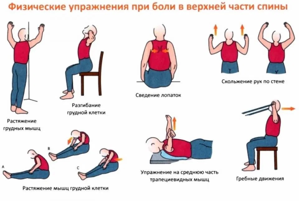 Лечение и профилактика остеохондроза, основные методы и рекомендации