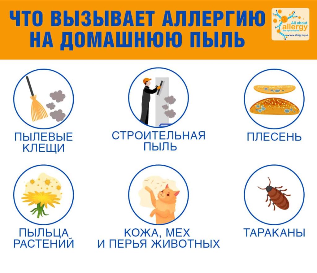 Что вызывает аллергию на домашнюю пыль