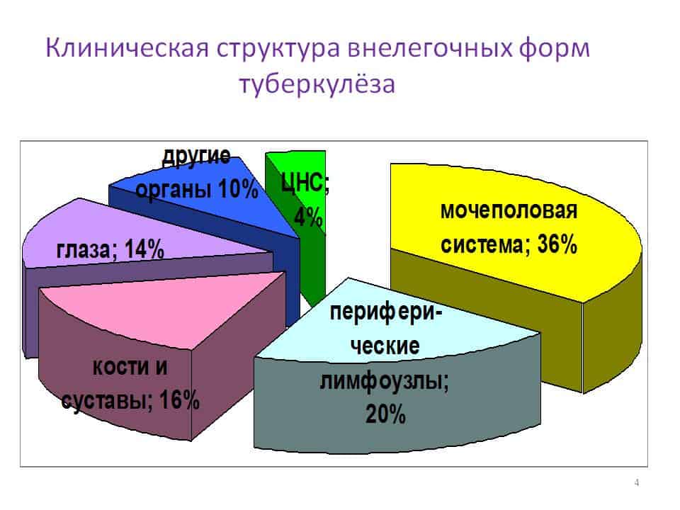 Структура внелегочного туберкулеза